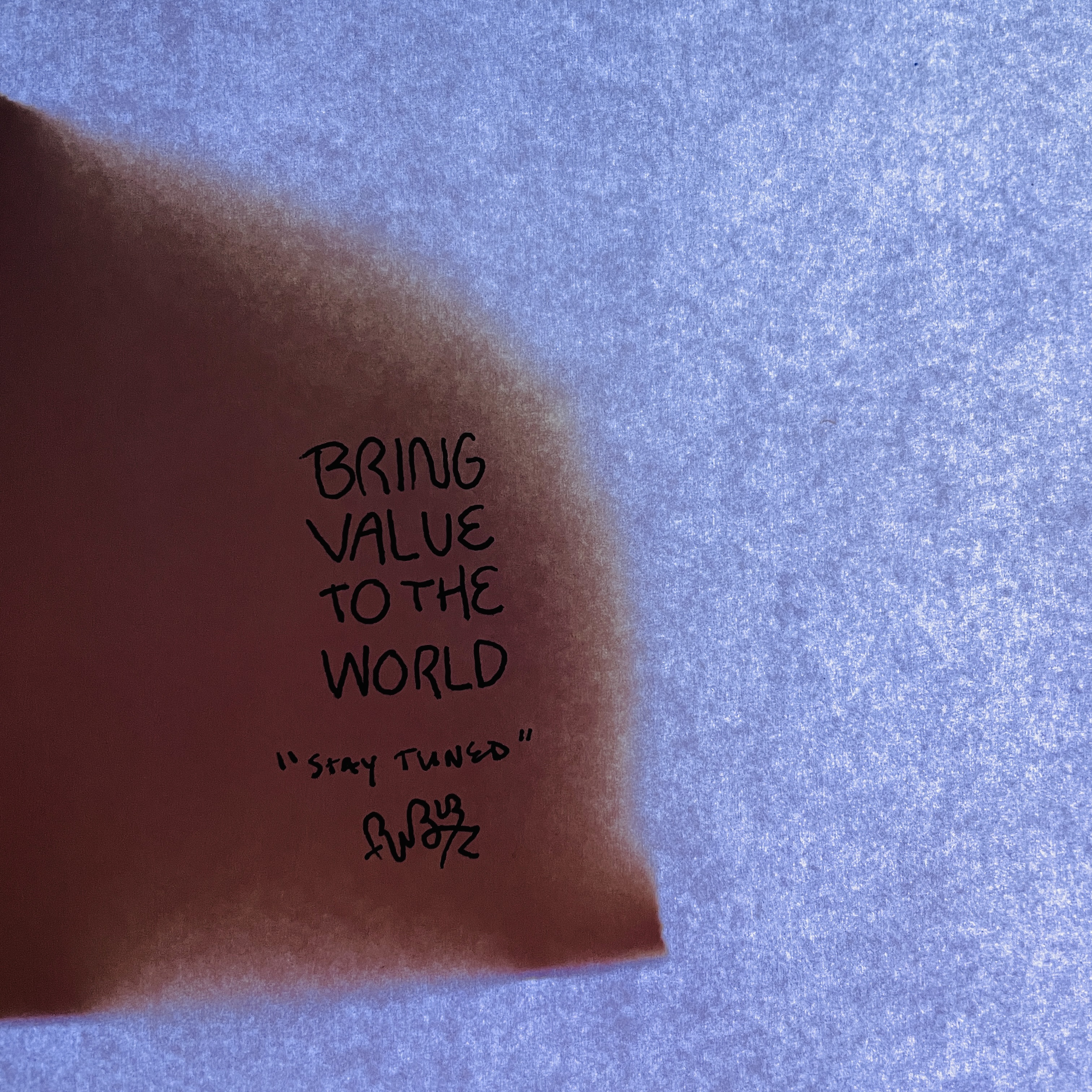 BRING VALUE TO THE WORLD - RAWBURTZ